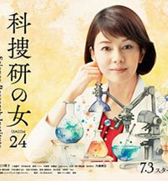 科搜研之女第24季